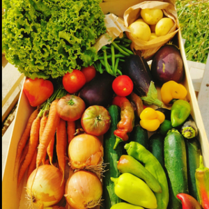 Panier de légumes locaux